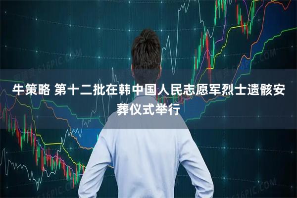 牛策略 第十二批在韩中国人民志愿军烈士遗骸安葬仪式举行