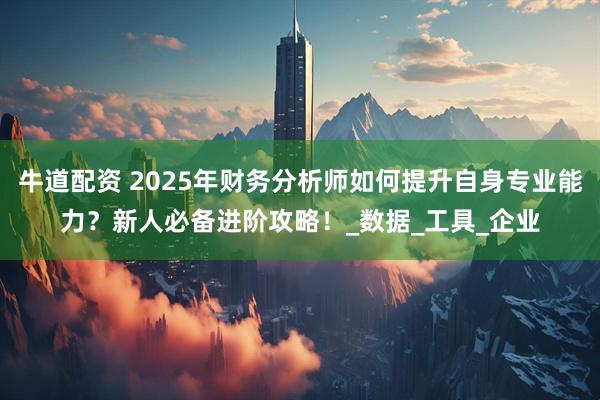 牛道配资 2025年财务分析师如何提升自身专业能力？新人必备进阶攻略！_数据_工具_企业